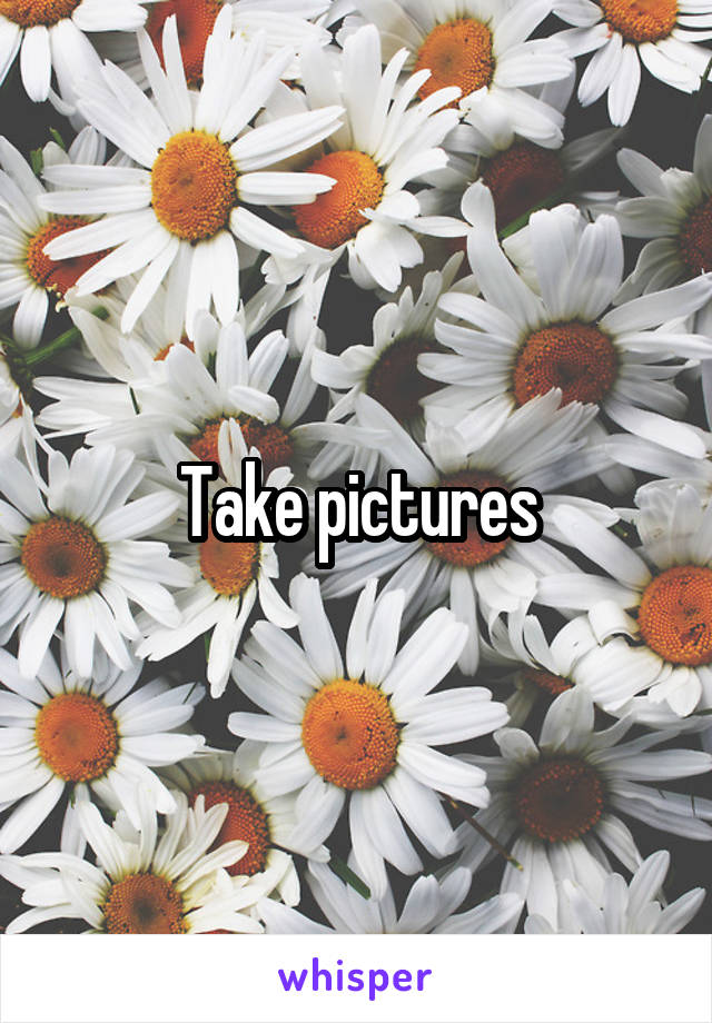 Take pictures