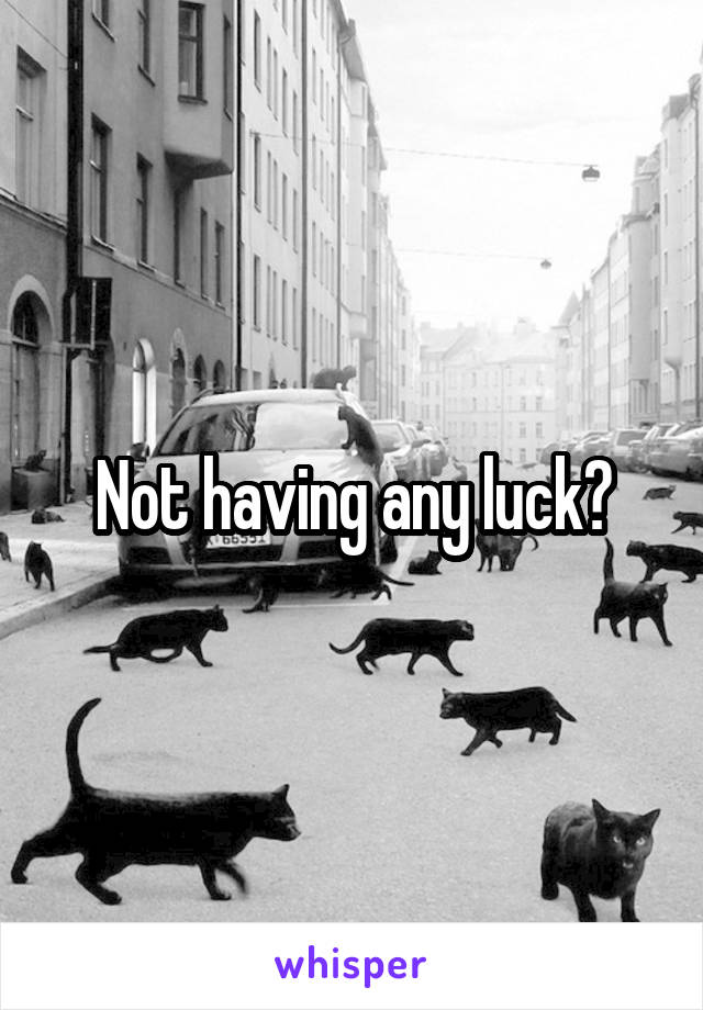 Not having any luck?