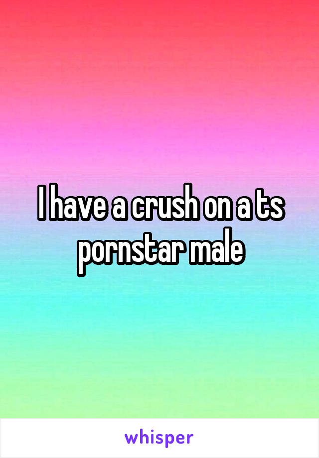 I have a crush on a ts pornstar male