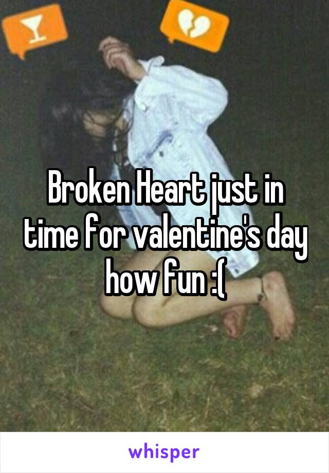 Broken Heart just in time for valentine's day how fun :(