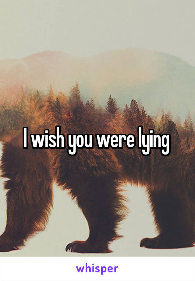 I wish you were lying 