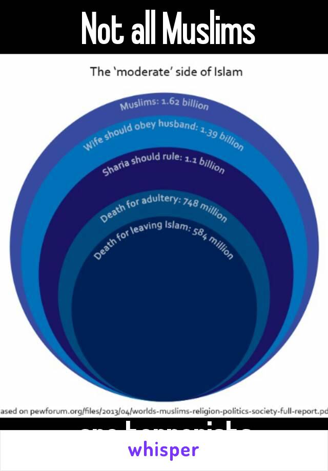  Not all Muslims








are terrorists