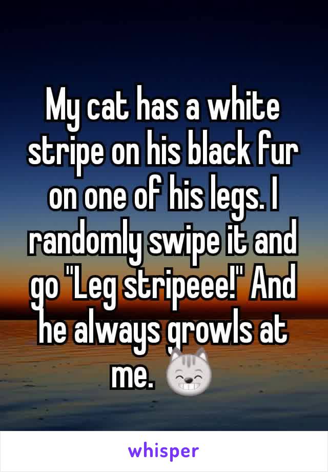 My cat has a white stripe on his black fur on one of his legs. I randomly swipe it and go "Leg stripeee!" And he always growls at me. 😸