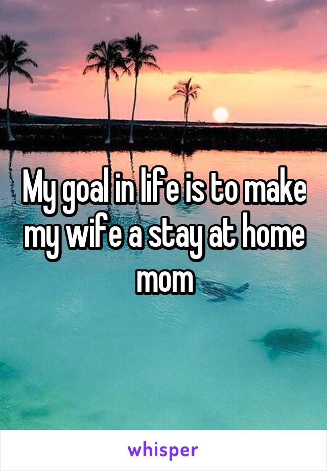 My goal in life is to make my wife a stay at home mom