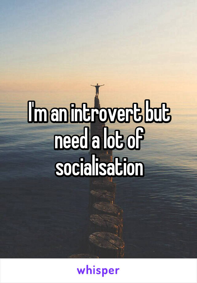 I'm an introvert but need a lot of socialisation