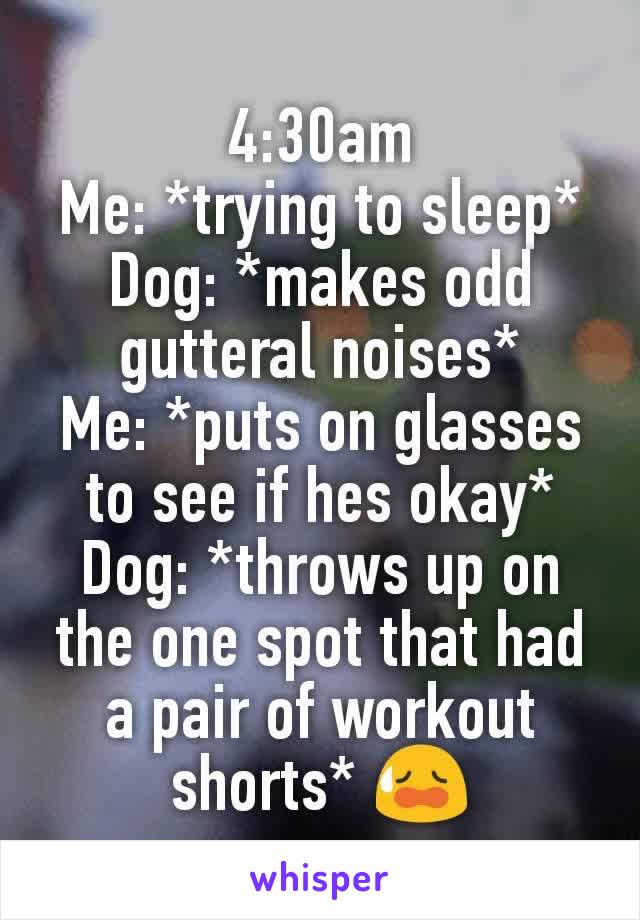 4:30am
Me: *trying to sleep*
Dog: *makes odd gutteral noises*
Me: *puts on glasses to see if hes okay*
Dog: *throws up on the one spot that had a pair of workout shorts* 😥