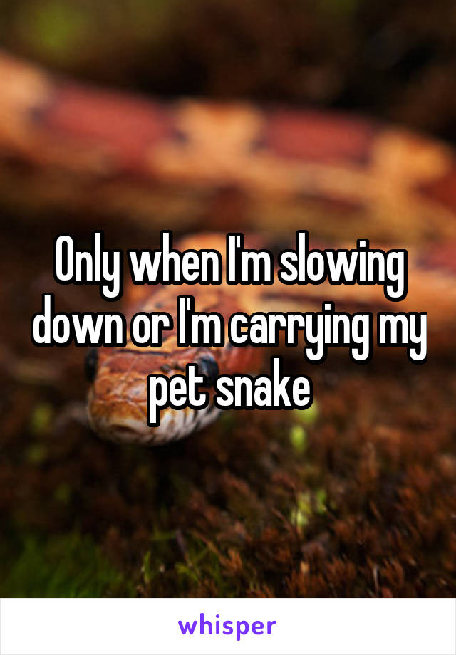 Only when I'm slowing down or I'm carrying my pet snake