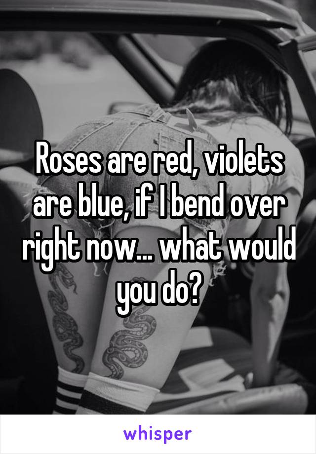 Roses are red, violets are blue, if I bend over right now... what would you do?