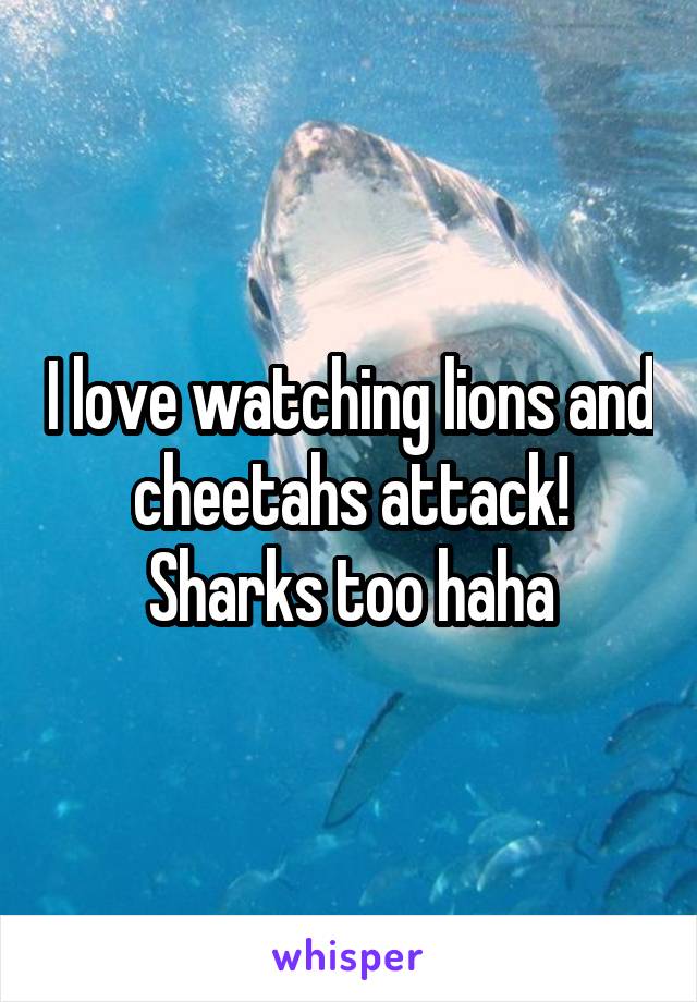 I love watching lions and cheetahs attack! Sharks too haha