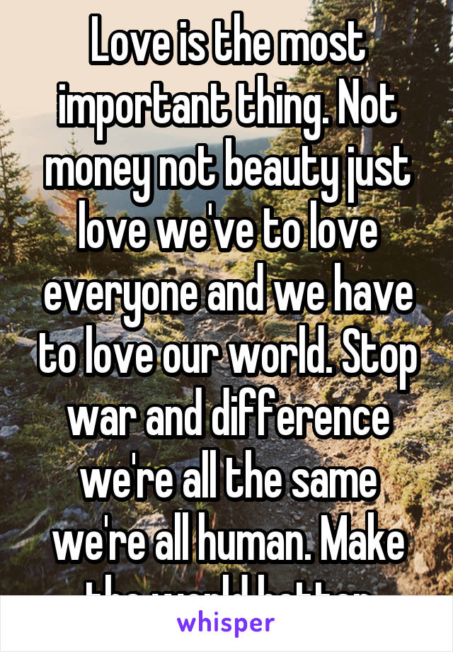 Love is the most important thing. Not money not beauty just love we've to love everyone and we have to love our world. Stop war and difference we're all the same we're all human. Make the world better