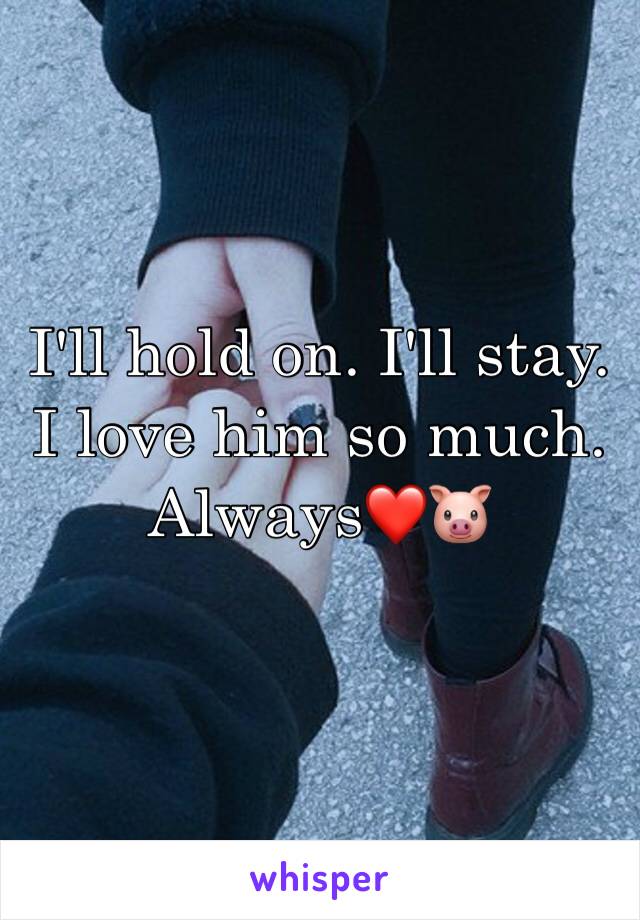 I'll hold on. I'll stay. I love him so much. Always❤🐷