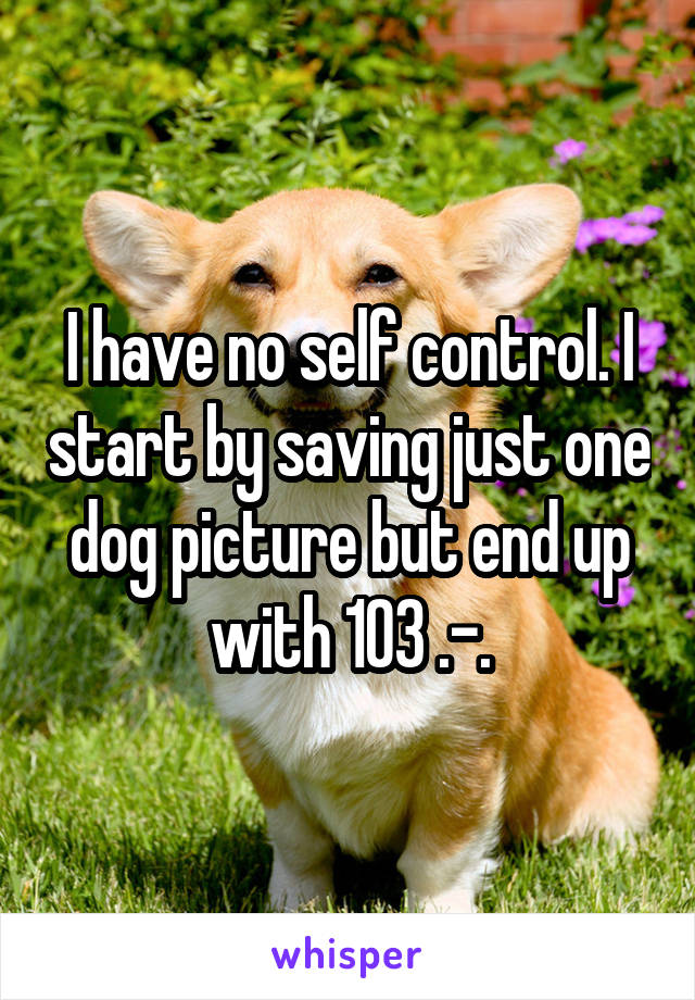 I have no self control. I start by saving just one dog picture but end up with 103 .-.