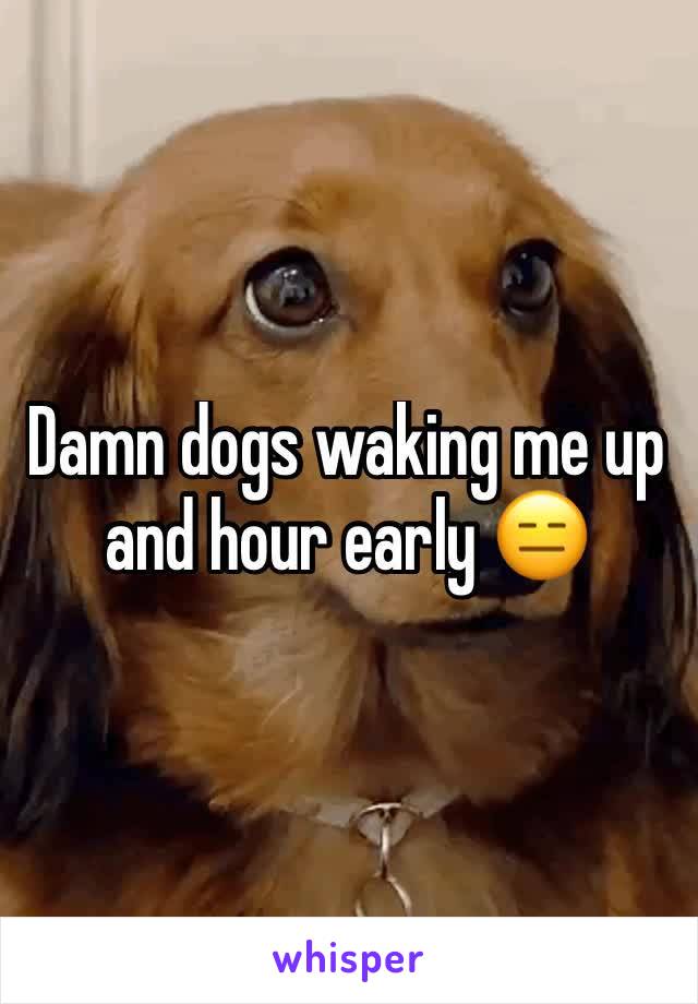 Damn dogs waking me up and hour early 😑