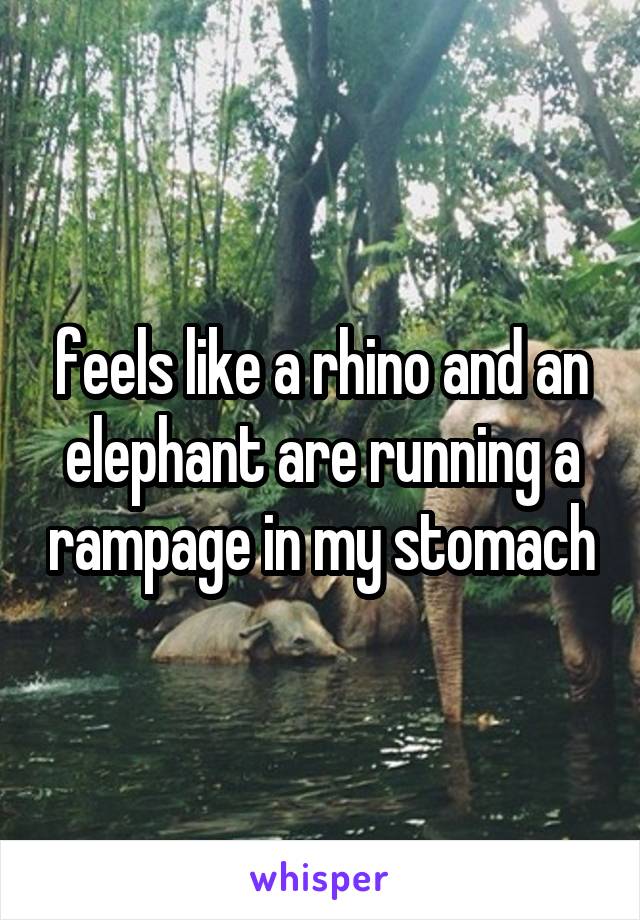 feels like a rhino and an elephant are running a rampage in my stomach