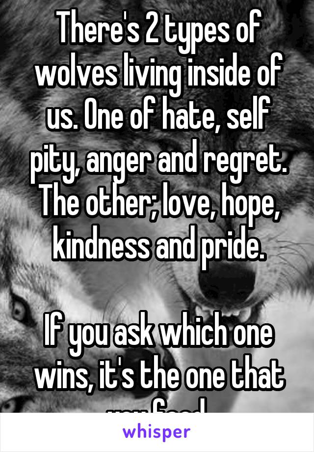 There's 2 types of wolves living inside of us. One of hate, self pity, anger and regret. The other; love, hope, kindness and pride.

If you ask which one wins, it's the one that you feed.