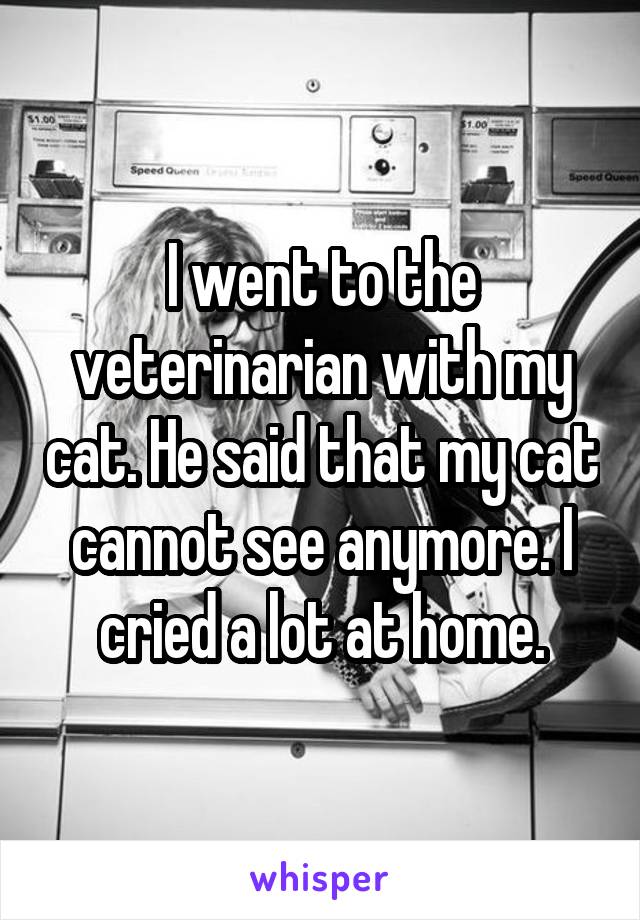 I went to the veterinarian with my cat. He said that my cat cannot see anymore. I cried a lot at home.