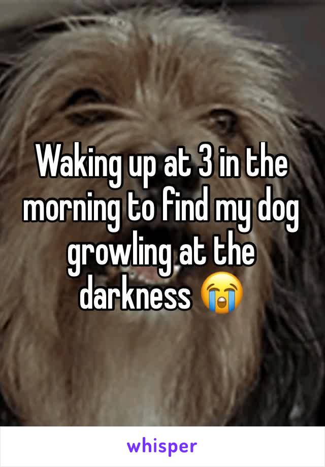 Waking up at 3 in the morning to find my dog growling at the darkness 😭 