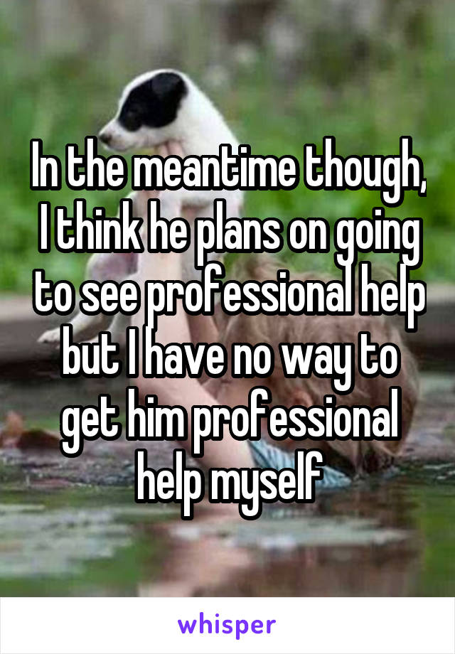 In the meantime though, I think he plans on going to see professional help but I have no way to get him professional help myself