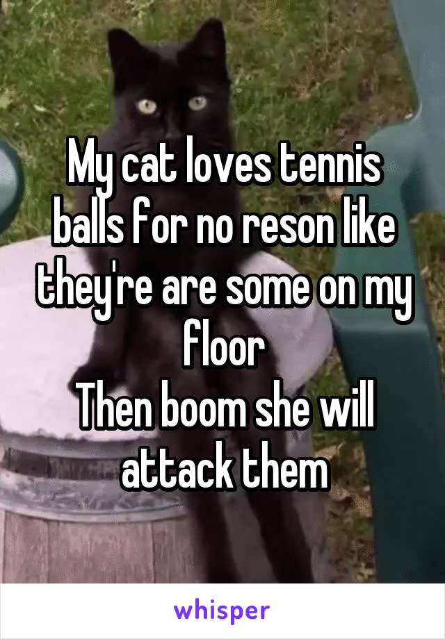 My cat loves tennis balls for no reson like they're are some on my floor
Then boom she will attack them