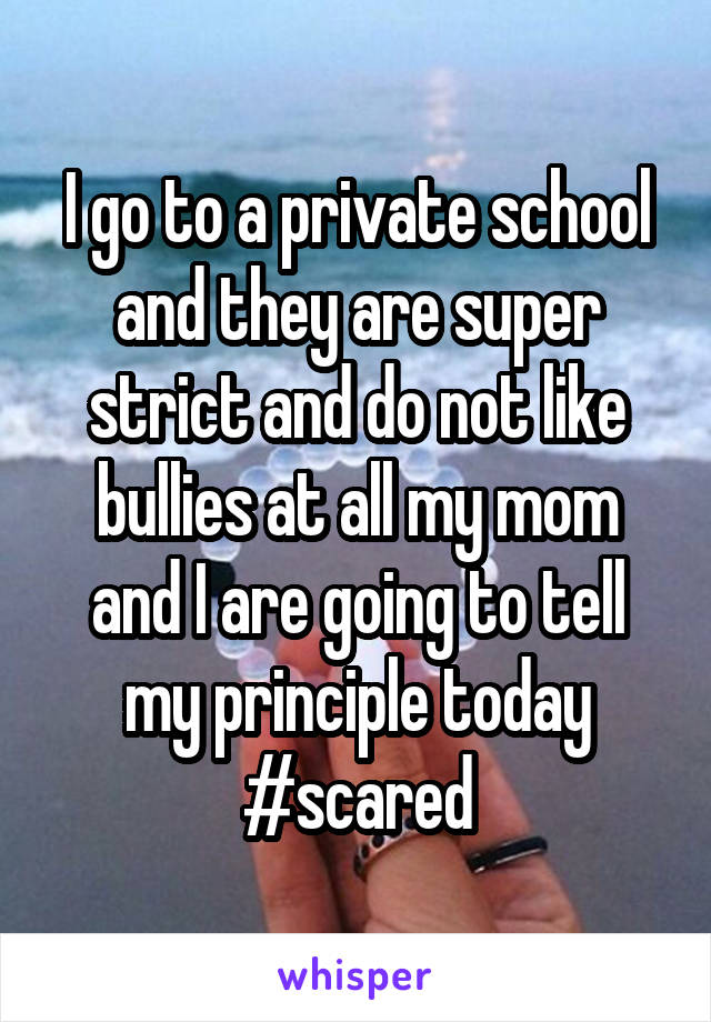 I go to a private school and they are super strict and do not like bullies at all my mom and I are going to tell my principle today #scared