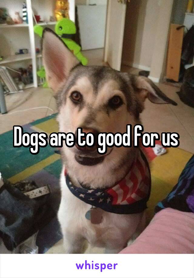 Dogs are to good for us 