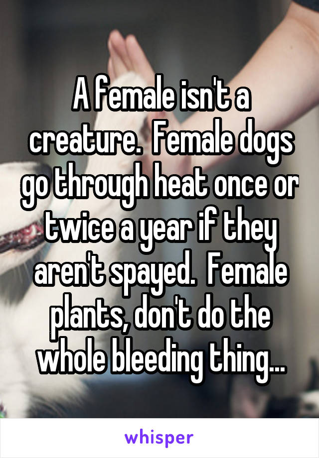 A female isn't a creature.  Female dogs go through heat once or twice a year if they aren't spayed.  Female plants, don't do the whole bleeding thing...