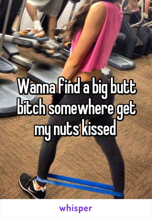 Wanna find a big butt bitch somewhere get my nuts kissed 