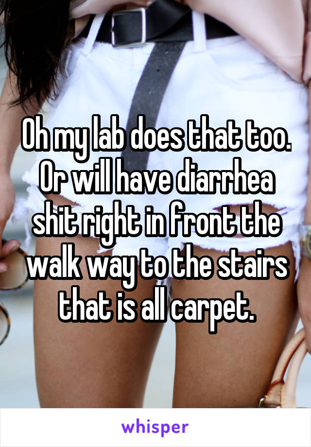 Oh my lab does that too. Or will have diarrhea shit right in front the walk way to the stairs that is all carpet.