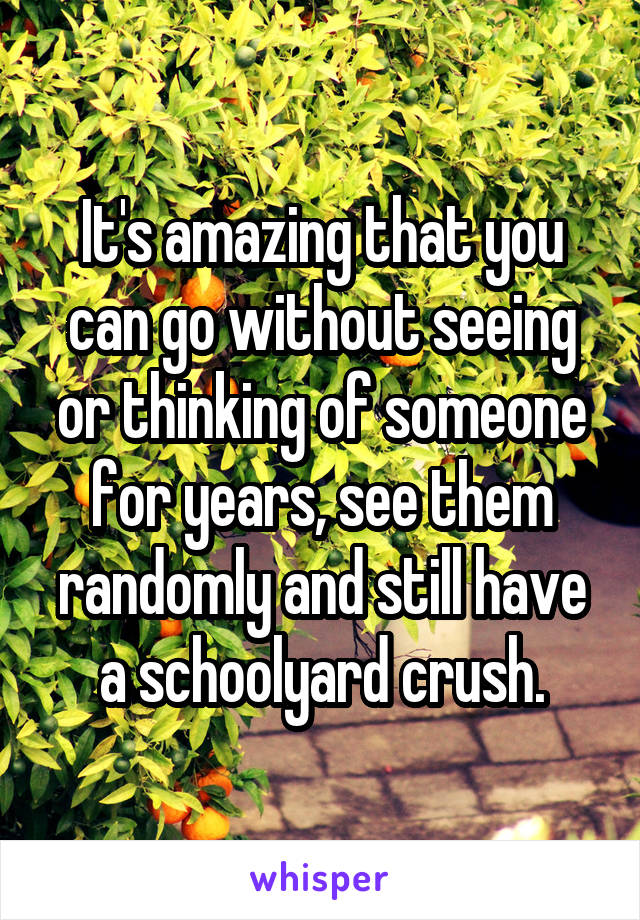 It's amazing that you can go without seeing or thinking of someone for years, see them randomly and still have a schoolyard crush.