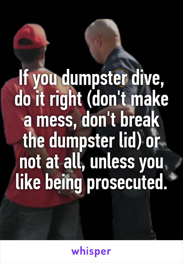 If you dumpster dive, do it right (don't make a mess, don't break the dumpster lid) or not at all, unless you like being prosecuted.