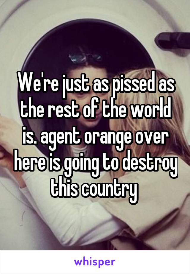 We're just as pissed as the rest of the world is. agent orange over here is going to destroy this country 