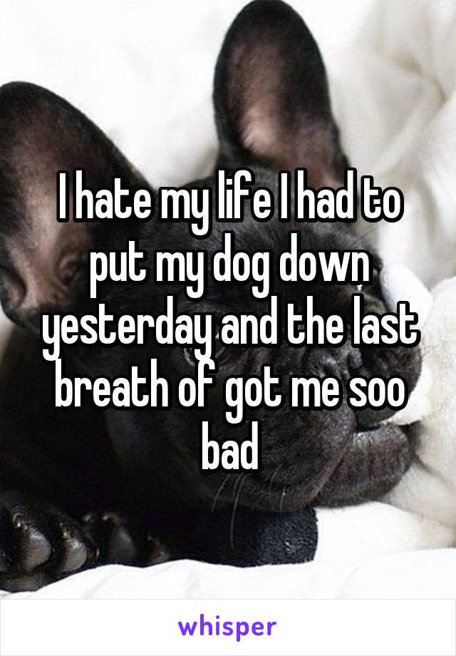 I hate my life I had to put my dog down yesterday and the last breath of got me soo bad