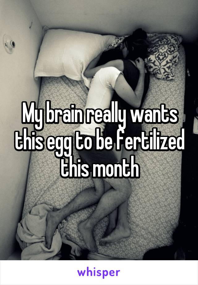 My brain really wants this egg to be fertilized this month