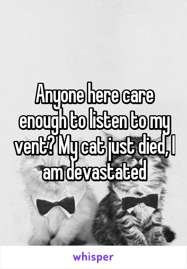 Anyone here care enough to listen to my vent? My cat just died, I am devastated