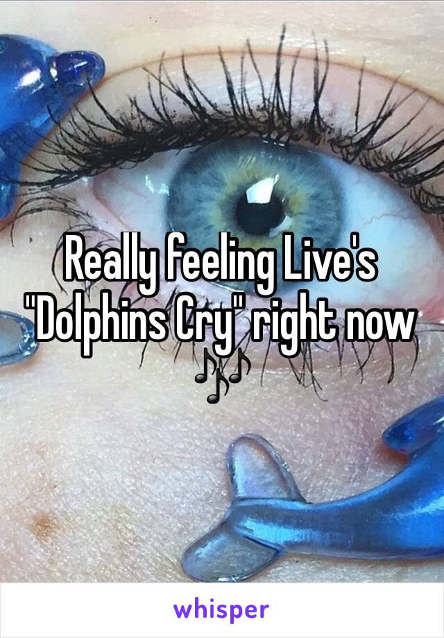 Really feeling Live's "Dolphins Cry" right now 🎶