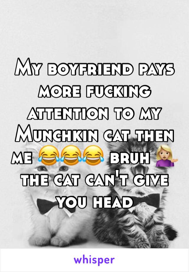 My boyfriend pays more fucking attention to my Munchkin cat then me 😂😂😂 bruh 💁🏼 the cat can't give you head 