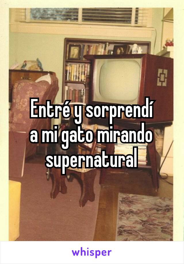 Entré y sorprendí
a mi gato mirando supernatural