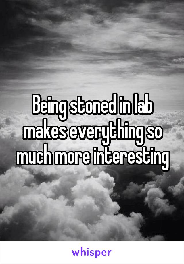 Being stoned in lab makes everything so much more interesting