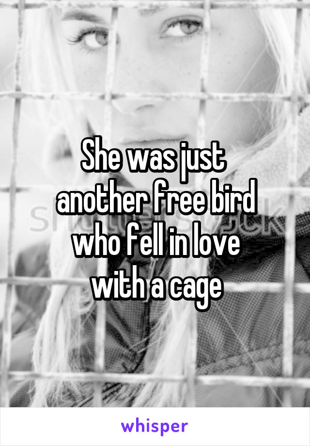 She was just 
another free bird
who fell in love
with a cage