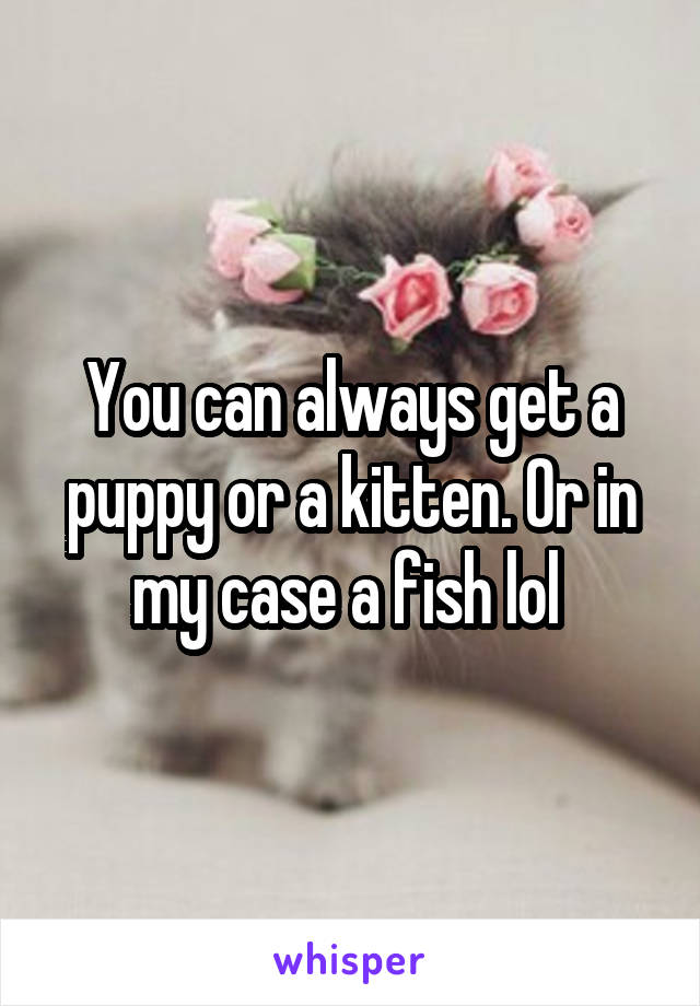 You can always get a puppy or a kitten. Or in my case a fish lol 