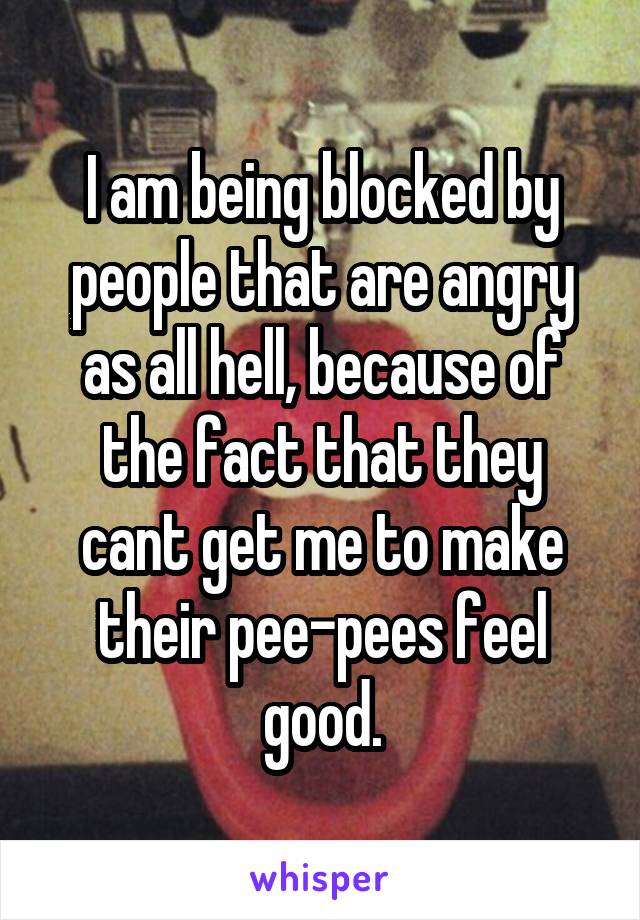 I am being blocked by people that are angry as all hell, because of the fact that they cant get me to make their pee-pees feel good.