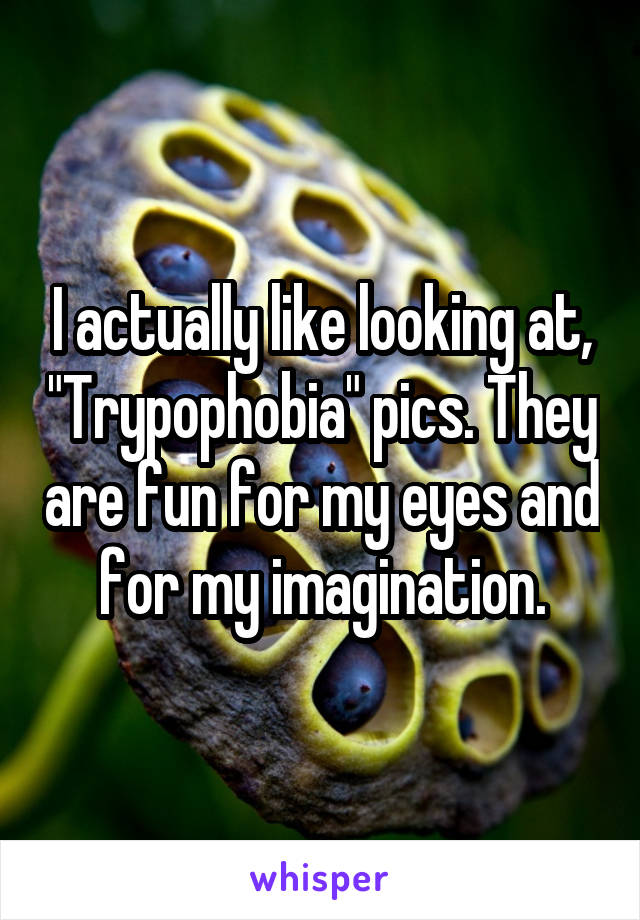 I actually like looking at, "Trypophobia" pics. They are fun for my eyes and for my imagination.