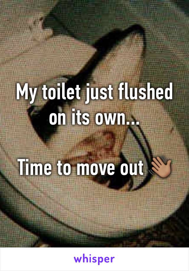 My toilet just flushed on its own...

Time to move out 👋🏽
