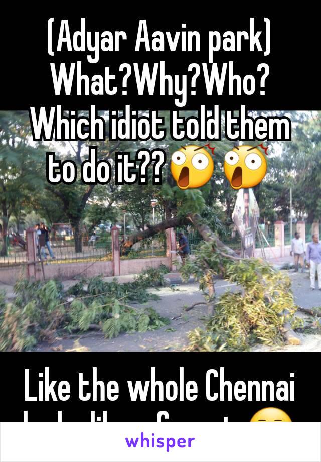 (Adyar Aavin park)
What?Why?Who?
Which idiot told them to do it??😲😲




Like the whole Chennai looks like a forest 😒