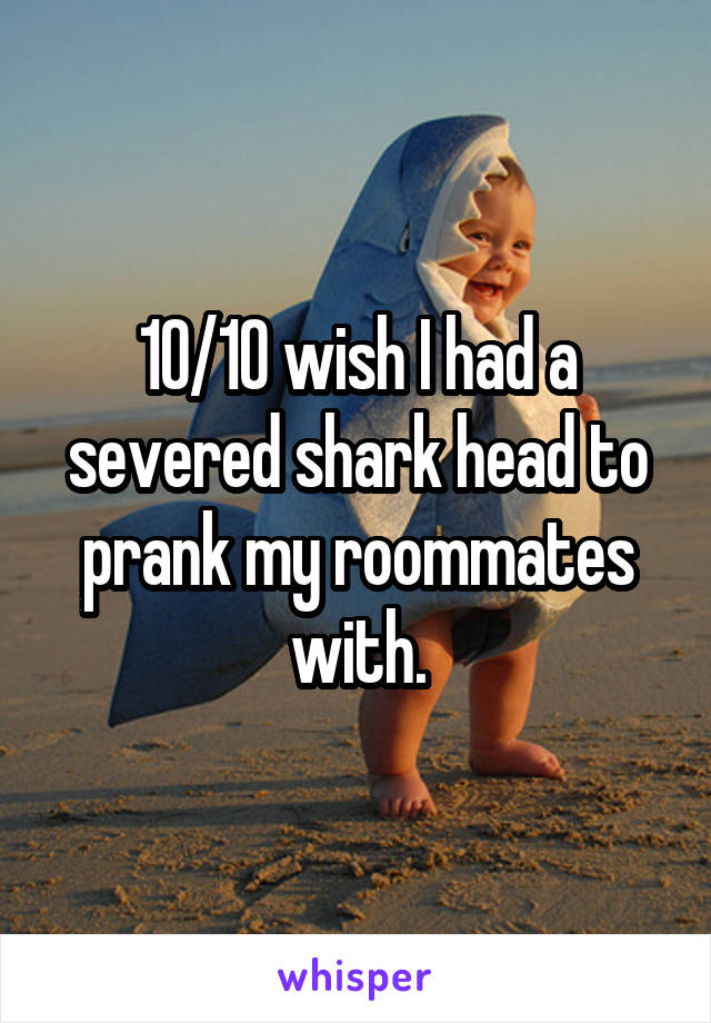 10/10 wish I had a severed shark head to prank my roommates with.