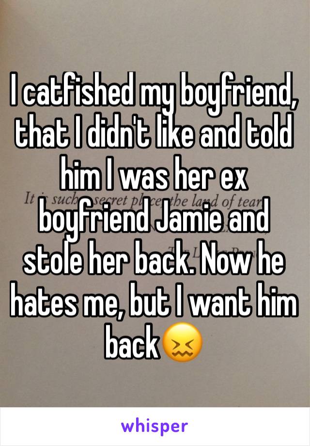 I catfished my boyfriend, that I didn't like and told him I was her ex boyfriend Jamie and stole her back. Now he hates me, but I want him back😖