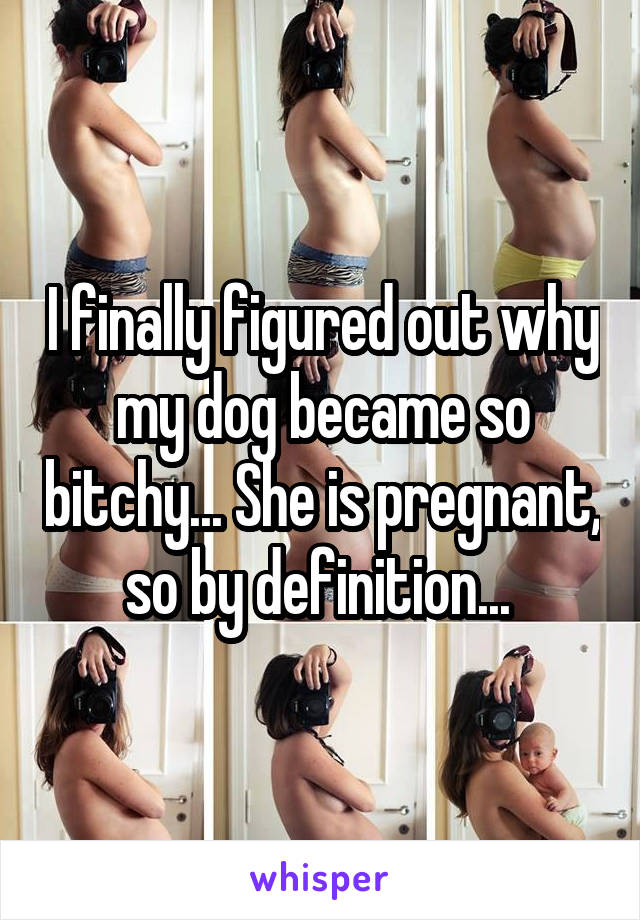 I finally figured out why my dog became so bitchy... She is pregnant, so by definition... 