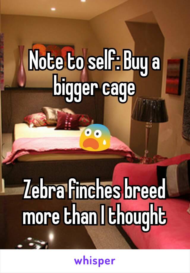 Note to self: Buy a bigger cage

😨

Zebra finches breed more than I thought