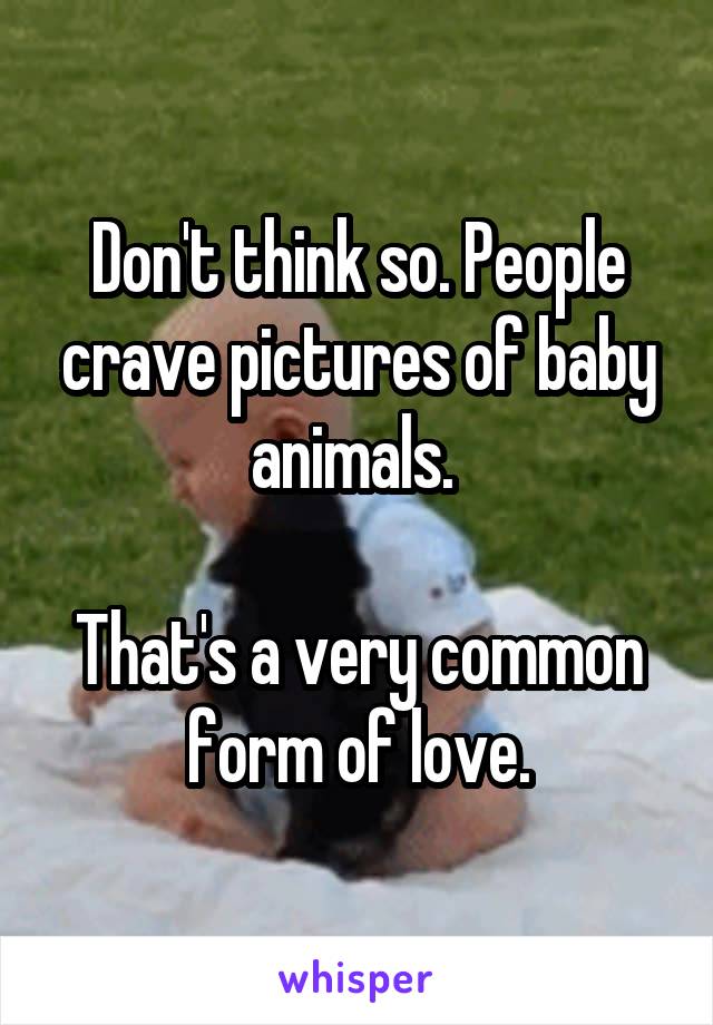 Don't think so. People crave pictures of baby animals. 

That's a very common form of love.