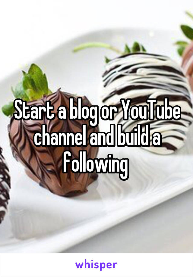 Start a blog or YouTube channel and build a following 